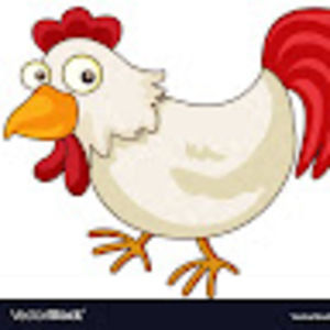 Meet your Posher, Thomas